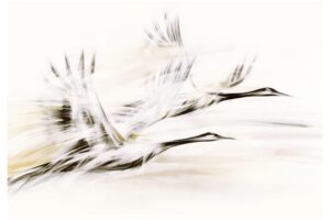 Dlaczego obrazy inspirowane żurawiami uspokajają wnętrze bardziej niż wiele innych?