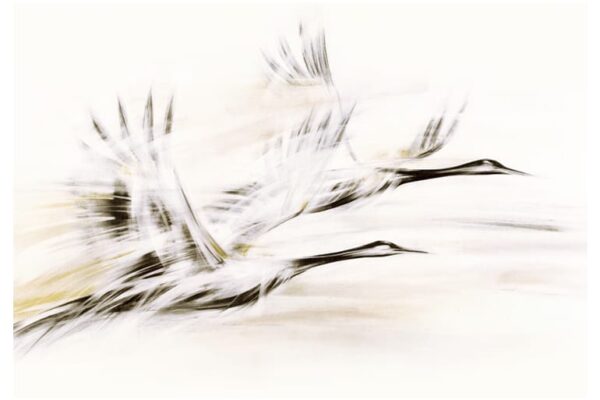 Dlaczego obrazy inspirowane żurawiami uspokajają wnętrze bardziej niż wiele innych?